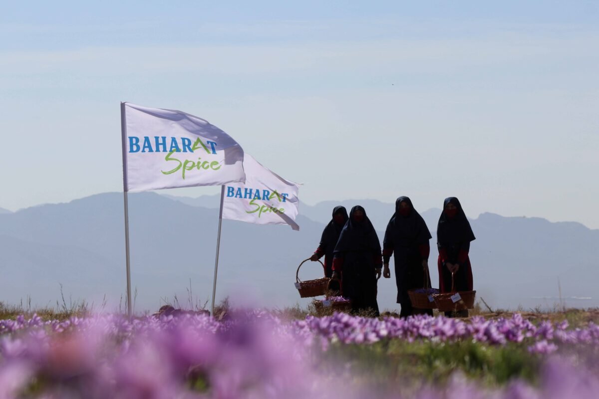 About us - baharat spice