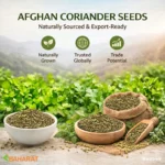 Coriander seed