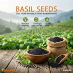 Basil Seed